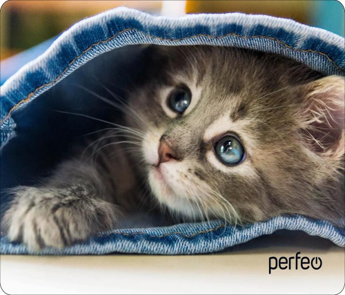 картинка коврик для компьютерной мыши perfeo (pf_d0648) "cat" от магазина Tovar-RF.ru