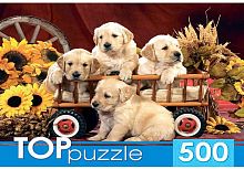 картинка мозаика toppuzzle пазлы 500 элементов. кбтп500-6799 щенки лабрадора пп-00099004 от магазина Tovar-RF.ru