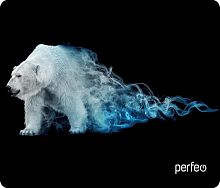 картинка коврик для компьютерной мыши perfeo (pf_d0682) "flames" "белый медведь" от магазина Tovar-RF.ru