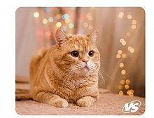 картинка коврик vs (vs_b4652) "cat", рис.8 от магазина Tovar-RF.ru
