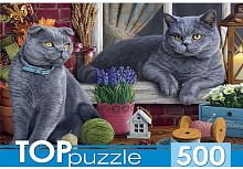 картинка мозаика toppuzzle пазлы 500 элементов. хтп500-4214 два британских кота пп-00087593 от магазина Tovar-RF.ru