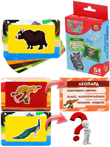 картинка настольные игры рыжий кот развивающие карточки "зверюшки. кто где живёт" ин-9421 от магазина Tovar-RF.ru