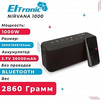 картинка акустика eltronic (20-73) nirvana от магазина Tovar-RF.ru