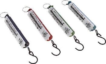 картинка рыжий кот бр-10 безмен 10 кг столбик (004381) рыжий кот бр-10 безмен 10 кг столбик (004381) от магазина Tovar-RF.ru