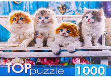 картинка мозаика toppuzzle пазлы 1000 элементов. котята скоттиш фолд шттп1000-4154 143759 от магазина Tovar-RF.ru