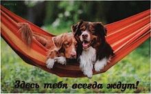 картинка Коврик VORTEX 24217 Коврик влаговпитывающий "Samba" 50*80 см. "Собаки в гамаке", "VORTEX" / 10 VORTEX 24217 Коврик влаговпитывающий "Samba" 50*80 см. "Собаки в гамаке", "VORTEX" / 10 от магазина Tovar-RF.ru