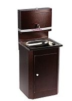 картинка Умывальник ТЕРММИКС Умывальник без ЭВН. Нерж Медь от магазина Tovar-RF.ru