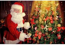 картинка набор рыжий кот холст с красками 40х50 см по номерам в коробке (24 цв.) санта у ёлки х-5974 пп-00208602 от магазина Tovar-RF.ru