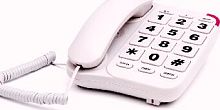 картинка вектор 545/08 ivory от магазина Tovar-RF.ru
