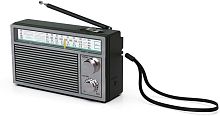 картинка радиоприемник ritmix rpr-131, черный от магазина Tovar-RF.ru