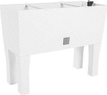 картинка Кашпо PROSPERPLAST DRTC600H-S449 PROSPERPLAST DRTC600H-S449 от магазина Tovar-RF.ru