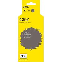 картинка ic-ccli-42gy картридж t2 для canon pixma pro-100/100s, серый от магазина Tovar-RF.ru