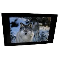 картинка фоторамка espada e-21a, цвет черный 16gb (45069) от магазина Tovar-RF.ru