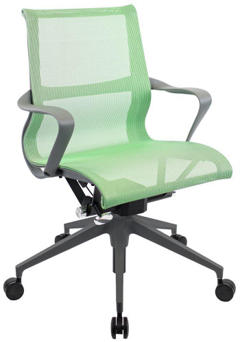 картинка Компьютерное кресло EVERPROF Chicago Grey Сетка Зеленый от магазина Tovar-RF.ru