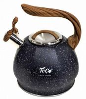 картинка Чайник TECO TC-122-B черный 3,0л. от магазина Tovar-RF.ru