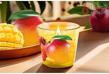 картинка Свеча BARTEK Манго и фрукты (Mango & Fruits) 115гр в стакане от магазина Tovar-RF.ru