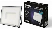 картинка Прожектор светодиодный RITTER 53409 3 PROFI 70 Вт/6500К от магазина Tovar-RF.ru