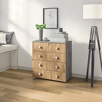 картинка Комод БИТЕЛ ЛОФТ-5 Ателье светлое/дуб крафт золотой БИТЕЛ ЛОФТ-5 Бетон/дуб крафт золотой от магазина Tovar-RF.ru