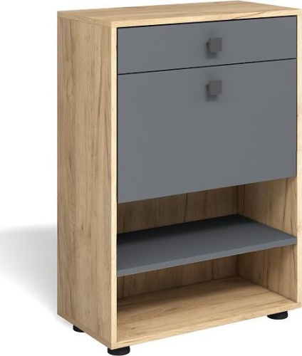 картинка Обувница БИТЕЛ МИНИ МЛ-4 ДУБ ЗОЛОТОЙ КРАФТ/СЕРЫЙ ГРАФИТ БИТЕЛ МИНИ МЛ-4 ДУБ ЗОЛОТОЙ КРАФТ/СЕРЫЙ ГРАФИТ от магазина Tovar-RF.ru