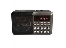 картинка радиочасыбудильник soundmax sm-rd2127(тёмный титан) от магазина Tovar-RF.ru
