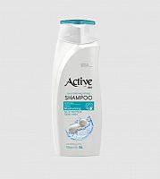 картинка Шампунь ACTIVE Шампунь увлажняющий CARE & BEAUTY. С протеинами шелка и витамином B5, 350 мл (512102051) от магазина Tovar-RF.ru