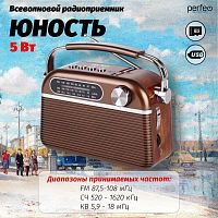картинка радиоприемник perfeo (pf_d0560) юность i30bl коричневый от магазина Tovar-RF.ru