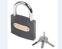 картинка Замок ЧЕТЫРЕ СЕЗОНА (79-0007) серия "Чугун"75 мм от магазина Tovar-RF.ru