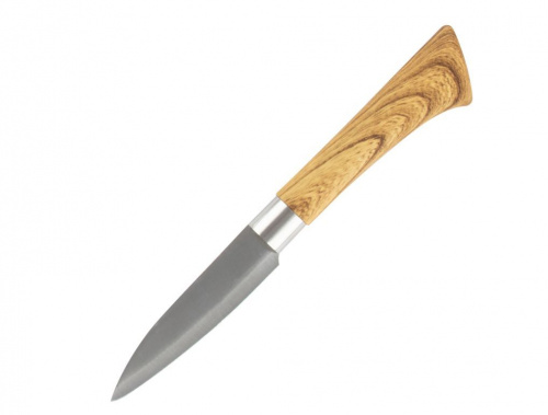 картинка Нож MALLONY Нож с пластиковой рукояткой под дерево FORESTA для овощей 9 см (103564) от магазина Tovar-RF.ru