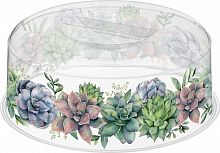 картинка крышка для свч homver botanica d250мм с декором (бесцветный) 222132601/00 от магазина Tovar-RF.ru