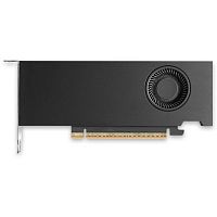 картинка nvidia rtx pro 2000 blackwell, 16 gb gddr7 with ecc, mini displayport 2.1, pci express 5.0 x8, bulk  900-5g195-2250-000 от магазина Tovar-RF.ru
