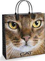 картинка Пакет АРТПЛАСТ (ПОД40853) 30х30+10 (Кэт) Россия АРТПЛАСТ (ПОД40853) 30х30+10 (Кэт) Россия от магазина Tovar-RF.ru