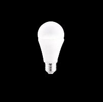 картинка лампы светодиодные ECOLA D7SD17ELC CLASSIC LED PREMIUM 17W/A60/E27/6500K от магазина Tovar-RF.ru