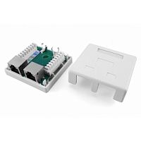 картинка hyperline sb1-2-8p8c-c5e-sh-wh розетка компьютерная rj-45(8p8c), категория 5e, экранированная, двойная, внешняя, dual idc от магазина Tovar-RF.ru