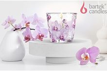 картинка Свеча BARTEK Орхидея Фаленопсис (Orchid Phalaenopsis) 115гр в стакане BARTEK Орхидея Фаленопсис (Orchid Phalaenopsis) 115гр в стакане от магазина Tovar-RF.ru