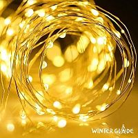 картинки гирлянда светодиодная winter glade cb202 от магазина Tovar-RF.ru