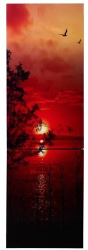 картинка холодильник орск 175 g glass zakat от магазина Tovar-RF.ru