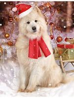 картинка набор рыжий кот алмаз. мозаика (класс.) 22х32 см. с подр., с полн. заполн. (30 цв.) белоснежный пес нд-5860 пп-00208516 от магазина Tovar-RF.ru