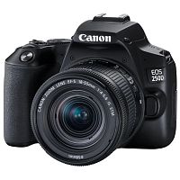 картинка canon eos 250d черный {24.1mpix ef-s 18-55mm f/1:4-5.6 is stm 3" 4k full hd sdxc li-ion} от магазина Tovar-RF.ru