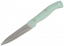 картинка Нож MALLONY Нож с пластиковой рукояткой MENTOLO для овощей 9 см (103512) от магазина Tovar-RF.ru