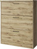 картинка Модульная мебель АНРЭКС DOORSET Тумба для обуви 3D. Цвет ДУБ НАВАРРА (2 уп.) от магазина Tovar-RF.ru