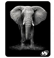 картинка коврик vs (vs_a4812) "фауна", "слон" от магазина Tovar-RF.ru