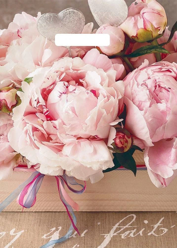 картинка Пакет АРТПЛАСТ (ВУР49406) вырубная ручка 29х40 - Бенефис АРТПЛАСТ (ВУР49406) вырубная ручка 29х40 - Бенефис от магазина Tovar-RF.ru