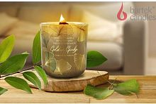 картинка Свеча BARTEK Золотой гинко (Golden Ginko) 150гр в стакане BARTEK Золотой гинко (Golden Ginko) 150гр в стакане от магазина Tovar-RF.ru