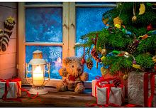 картинка набор рыжий кот холст с красками 40х50 см по номерам в коробке (24 цв.) подарки под ёлкой х-5972 пп-00208599 от магазина Tovar-RF.ru