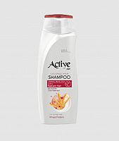 картинка Шампунь ACTIVE Шампунь для окрашенных волос CARE & BEAUTY. С кератином и пшеничным протеином, 350 мл (512102053) от магазина Tovar-RF.ru
