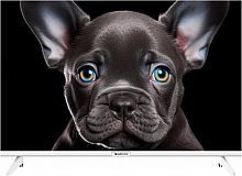 картинка led-телевизор topdevice tdtv24cs08h_we hd белый от магазина Tovar-RF.ru