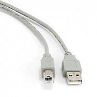 картинка кабель gembird/cablexpert (01196) cc-usb2-ambm-6 am/bm 1.8м (5) от магазина Tovar-RF.ru