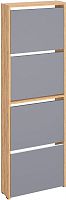 картинка Модульная мебель МЕБЕЛЬ-КОМПЛЕКС ЛАЙТ Обувница 4 секц Дуб золотой крафт / Серый шифер (1 кор.) МЕБЕЛЬ-КОМПЛЕКС ЛАЙТ Обувница 4 секц Дуб золотой крафт / Серый шифер (1 кор.) от магазина Tovar-RF.ru