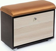 картинка Обувница БИТЕЛ МС-1 Венге/Ясень/Бронзовый С-109 БИТЕЛ МС-1 Венге/Ясень/Бронзовый С-109 от магазина Tovar-RF.ru