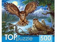 картинка мозаика toppuzzle пазлы 500 элементов. хтп500-4218 ночные совы пп-00087610 от магазина Tovar-RF.ru